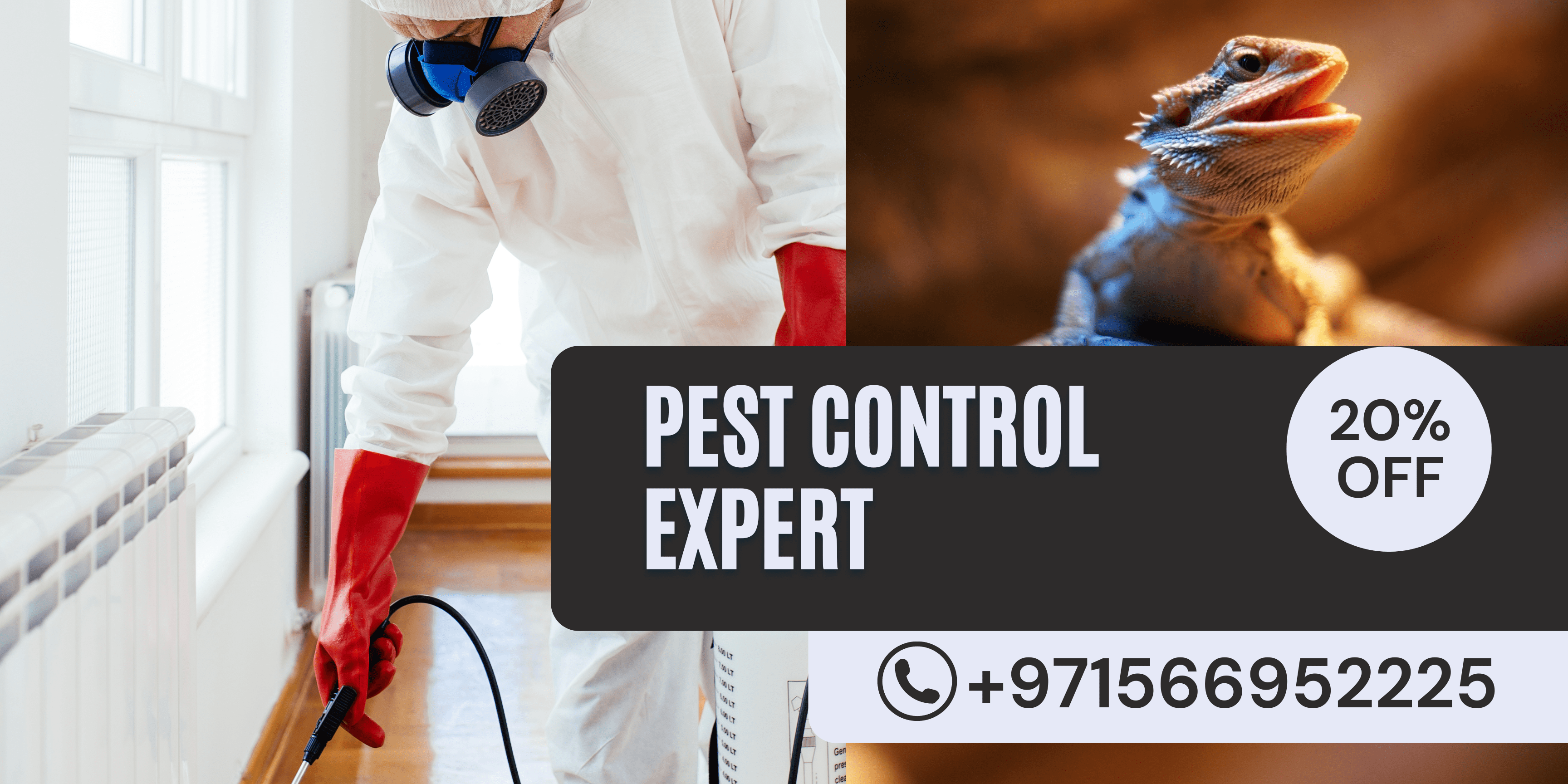 lizard-pest-control-services-dubai