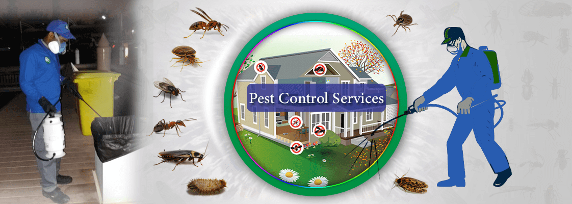 Pest Control Services Cincinnati Oh