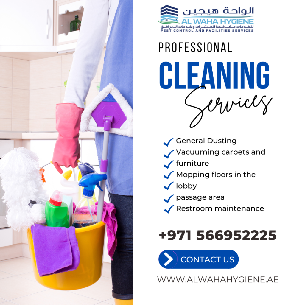 Affordable Apartment and Home Cleaning Services in Dubai