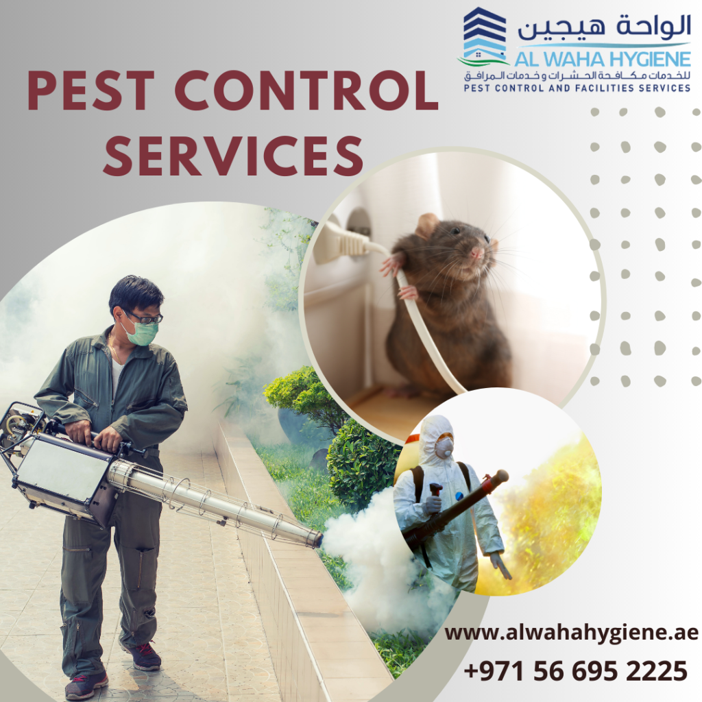 5 Ways to Keep Your Kids Safe from Bugs Bites by Pest Control Service Dubai