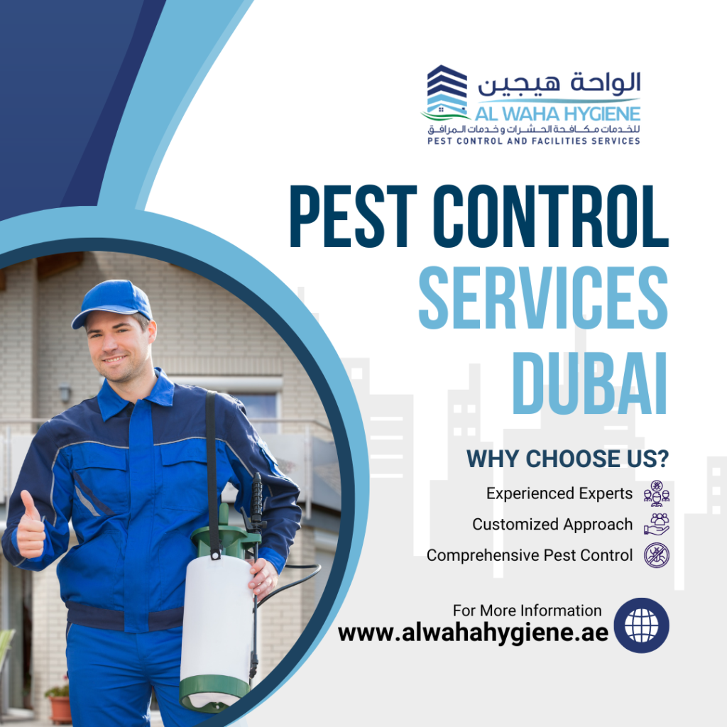 Pest Control in 2024: Process of Pest Control Services in Dubai