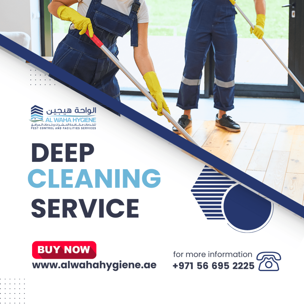 Why Do Abu Dhabi Homes Need Deep Cleaning Services?