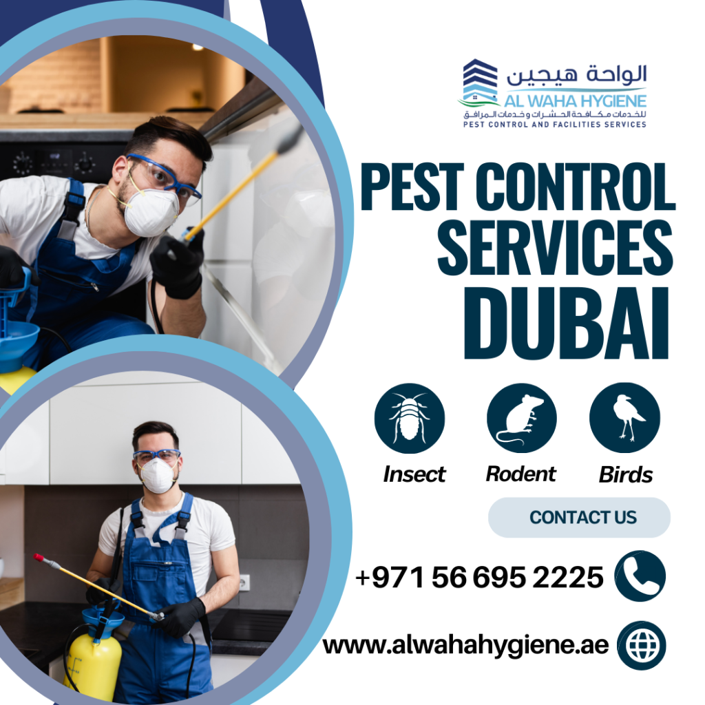 12 Expert-Recommended Pest Control Tips for Dubai Residences