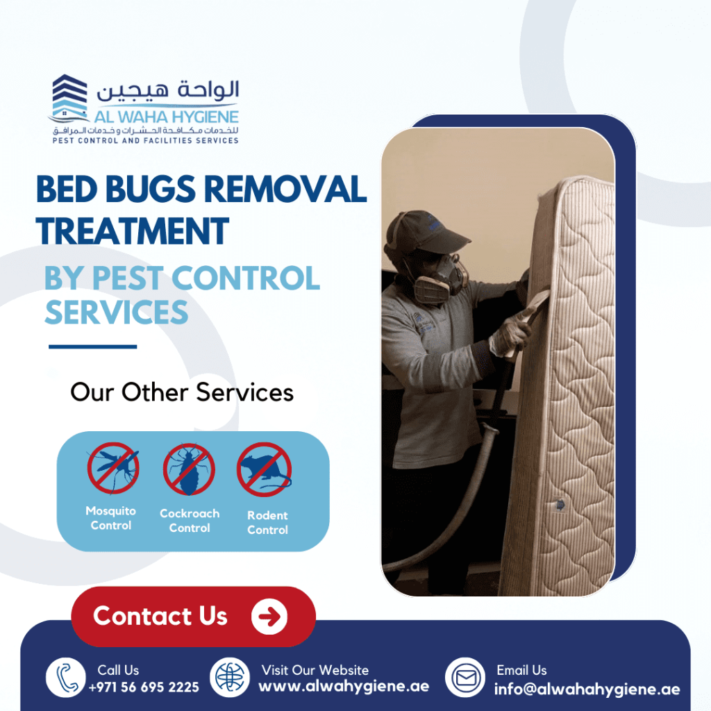 Are Bed Bugs Removal Treatments by Pest Control Dubai Safe? What You Need to Know