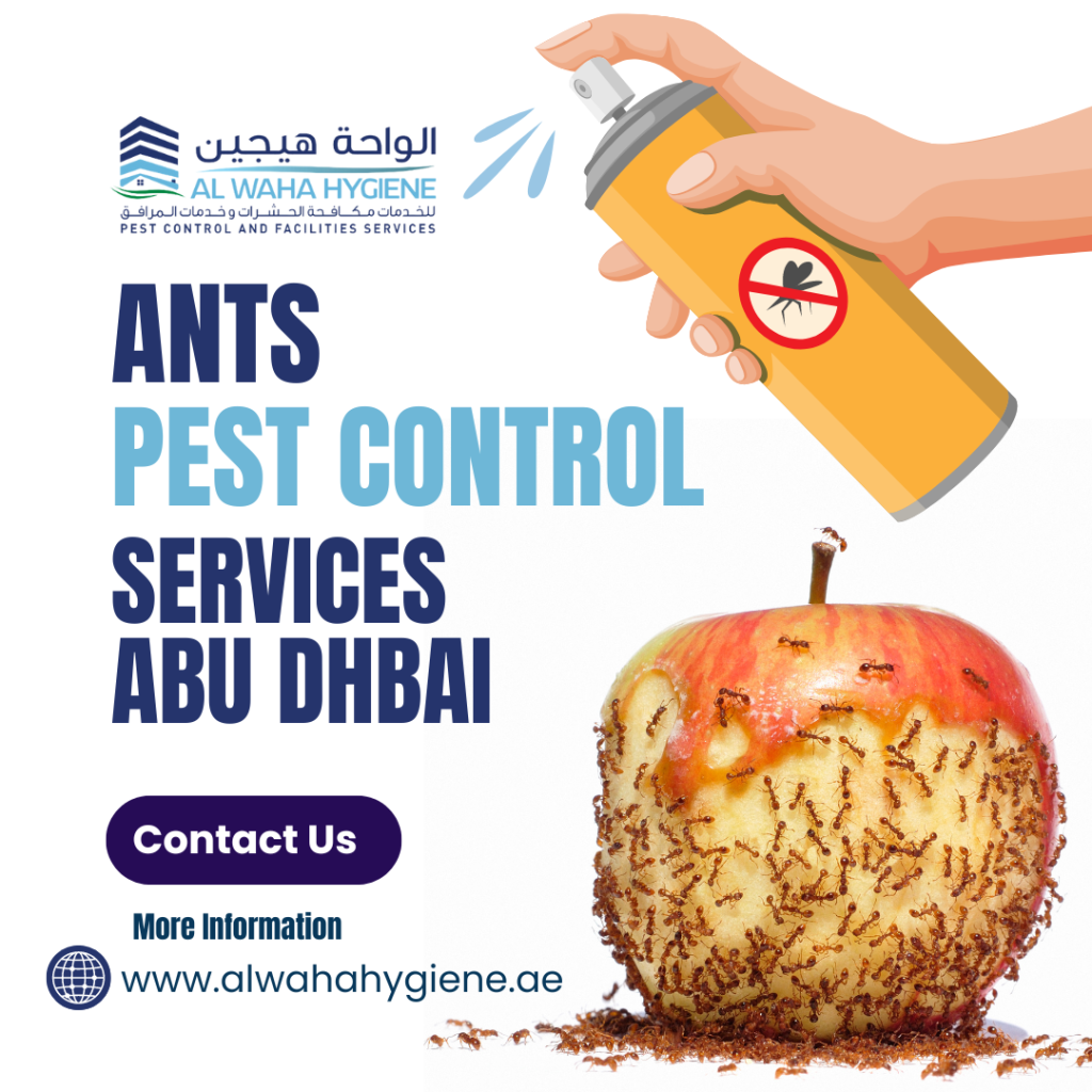 Tips for Ants Control Abu Dhabi: Effective Cleaning and Pest Control Solutions