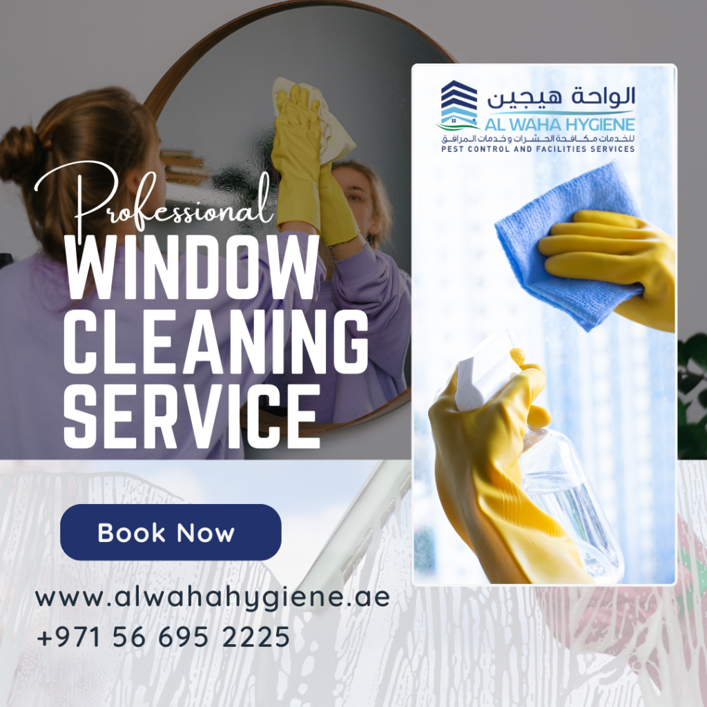 What to Expect from Professional Window Glass Cleaning Abu Dhabi?