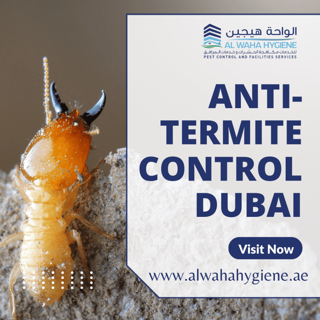 5 Proven Anti-Termite Pest Control Methods in Dubai: What Experts Recommend