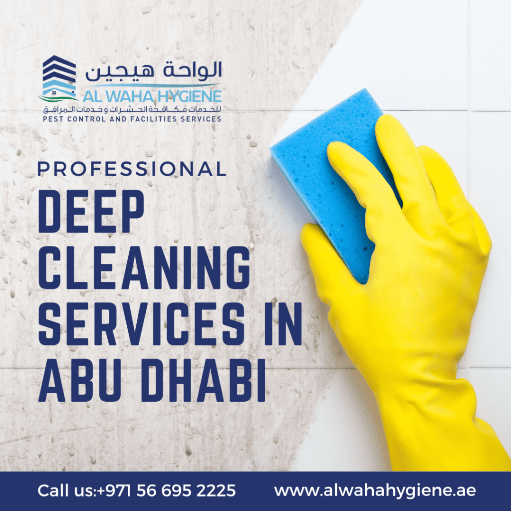 Importance of Kitchen Deep Cleaning Abu Dhabi in House Cleaning