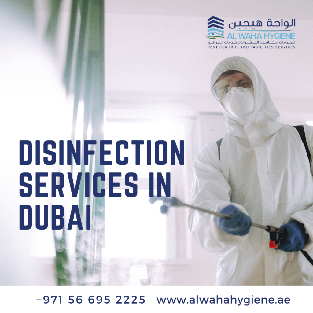 Flu Season 2024: How Effective Are Disinfection Services in Dubai Offices?