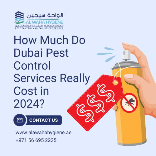 How Much Do Dubai Pest Control Services Really Cost in 2024?