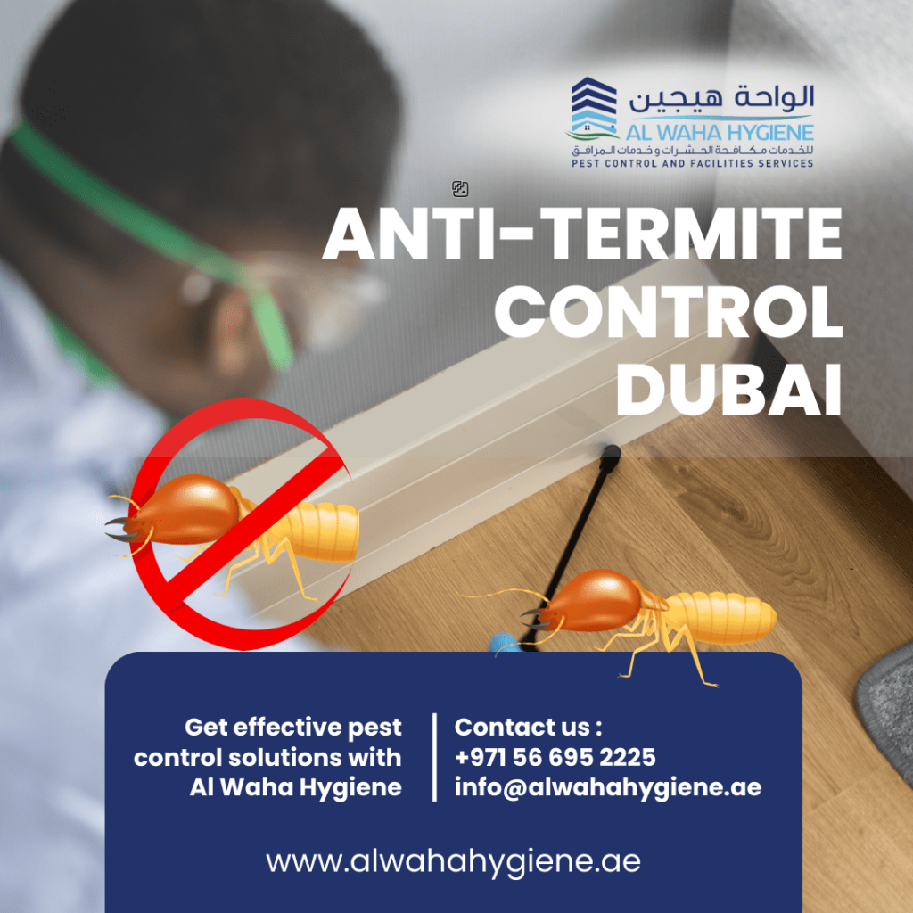 2024 Anti-Termite Control in Dubai: What’s New and Effective?