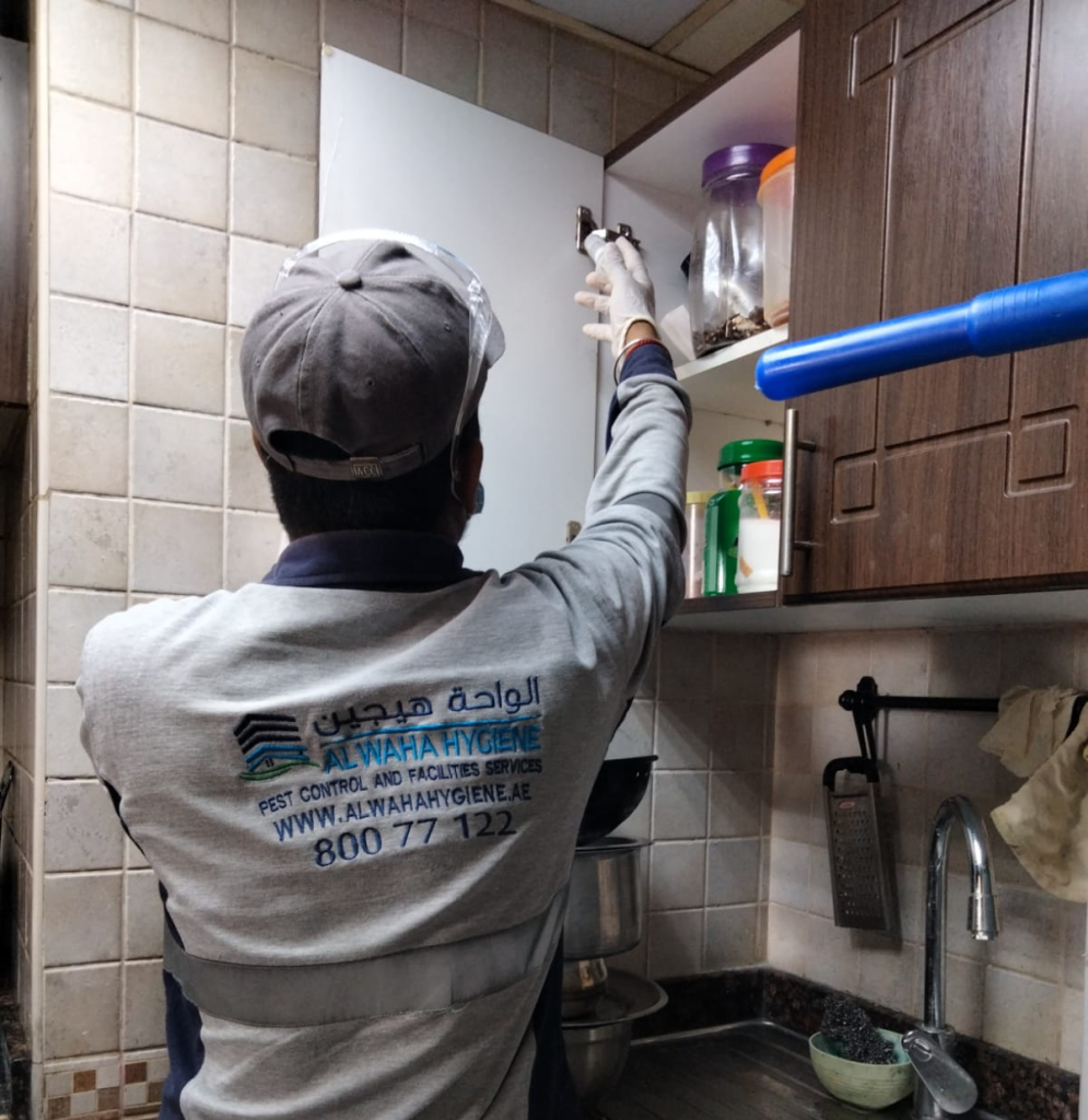 Pest Control Dubai