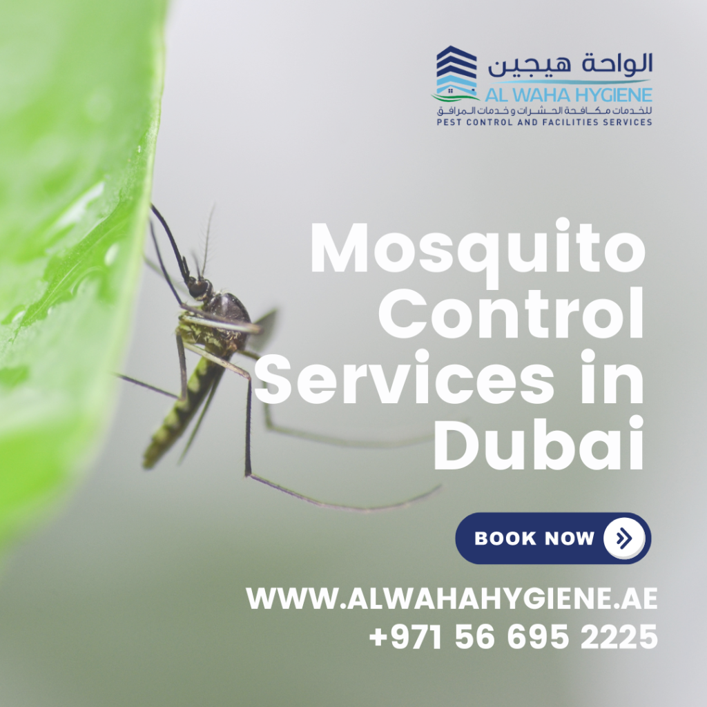 How Effective Are Mosquito Control Services in Dubai?