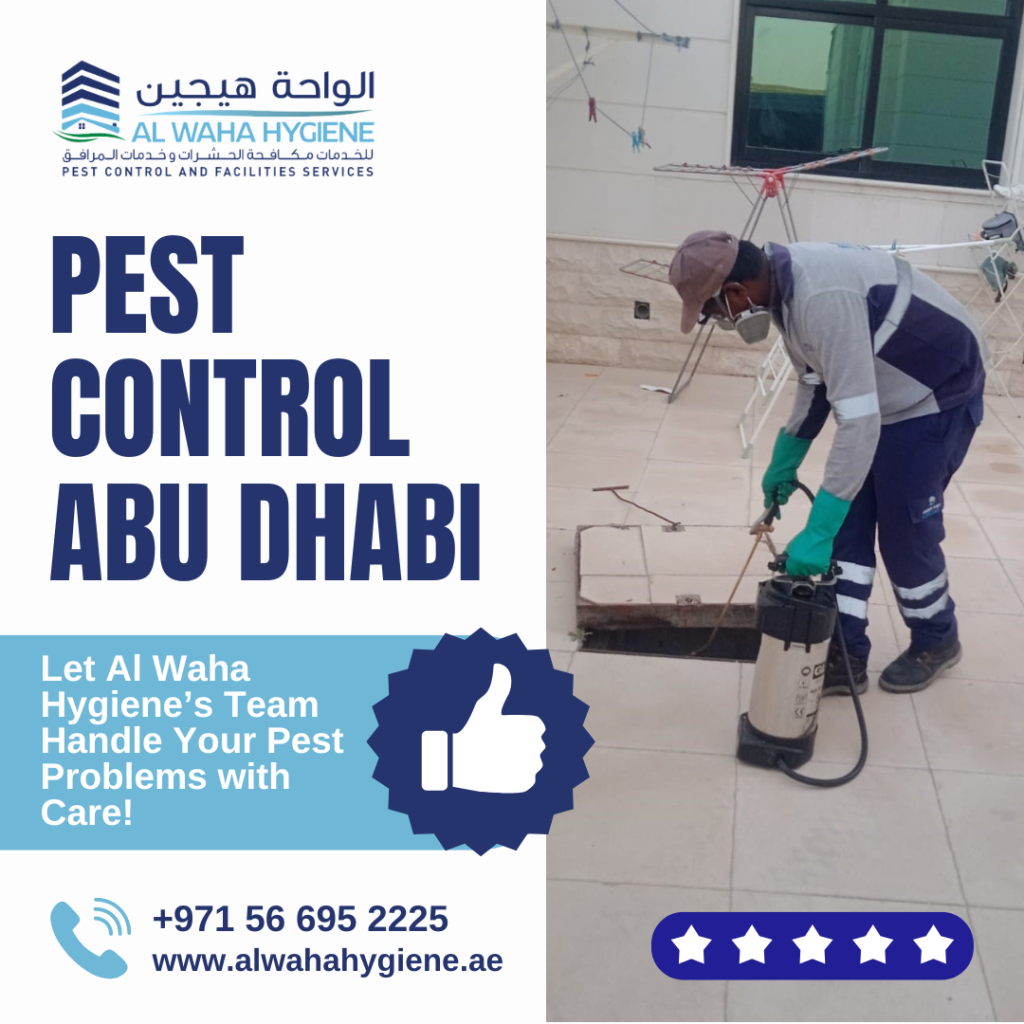 Signs You Need Pest Control Services in Abu Dhabi Immediately