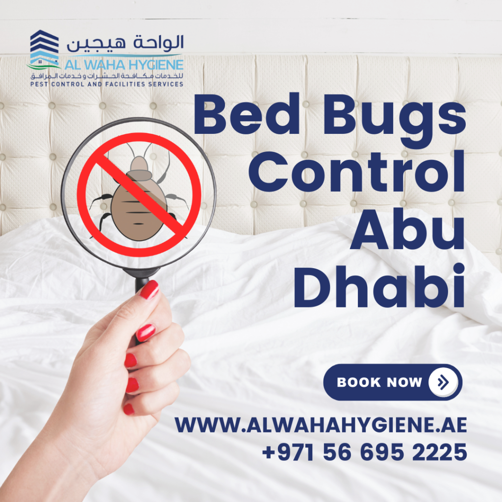 How Professional Bed Bugs Control Services Abu Dhabi Ensure Peace of Mind