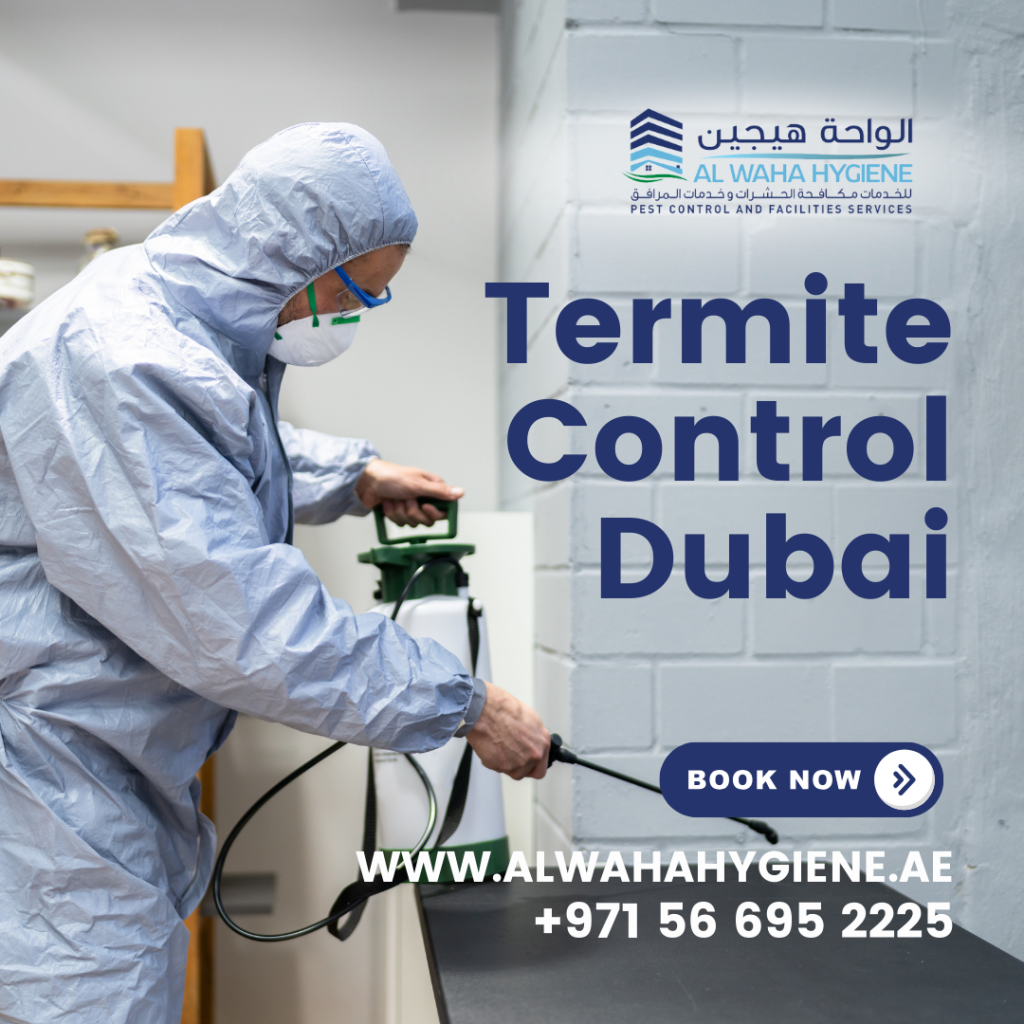 The Benefits of Professional Termite Control Services in Dubai: What to Expect