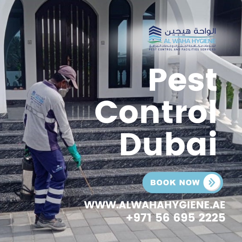 What to Consider When You Hire a Company for Pest Control in Dubai