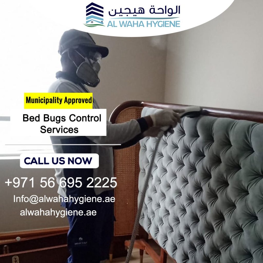 Are Bed Bugs Bites Dangerous? Health Risks for Abu Dhabi Residents