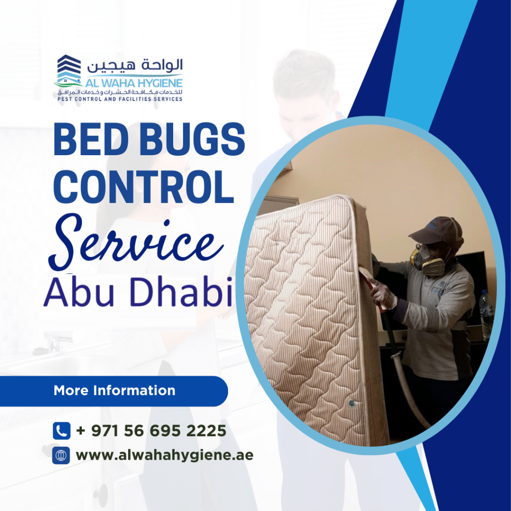 Risks of DIY Bed Bug Control Abu Dhabi: When To Call Professionals to Avoid Diseases