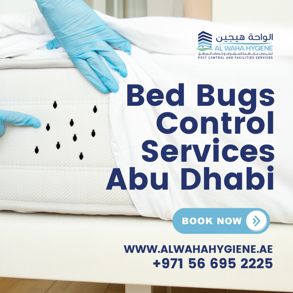 Bed Bugs Control in Abu Dhabi: Top 3 Strategies for Effective Prevention