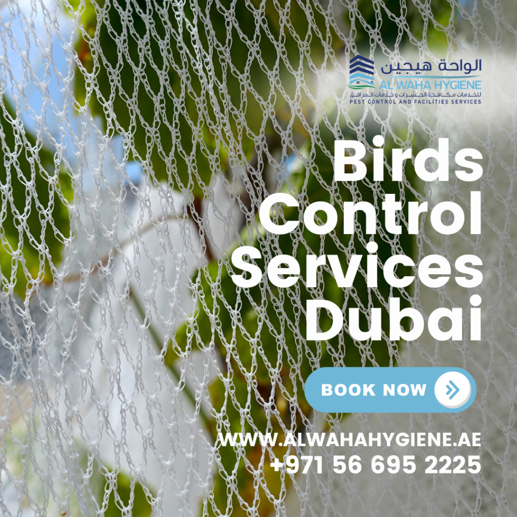 Bird Control in Dubai: Effective Methods and Strategies