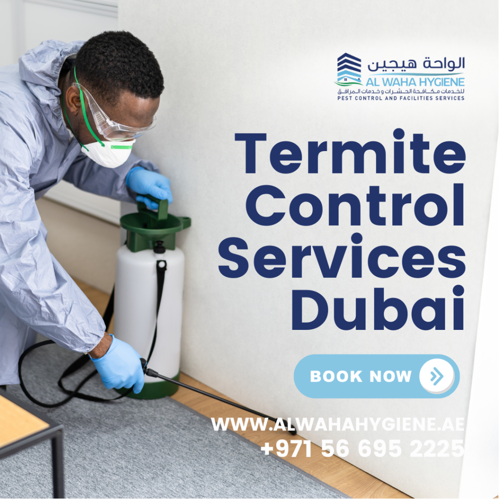 Top 5 Reviews Method for Termite Control in Dubai