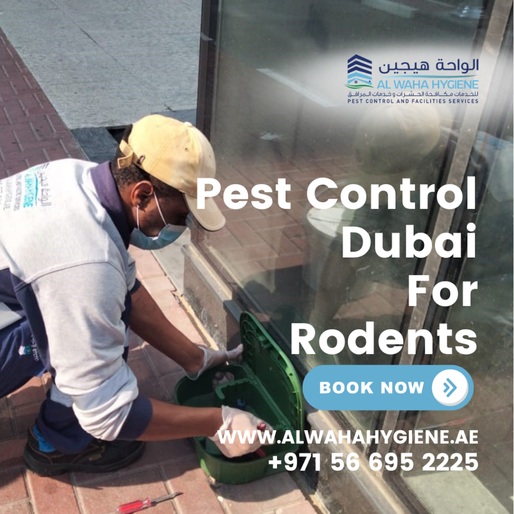 Dubai’s Best Pest Control: How to Keep Your Property Safe from Rodents