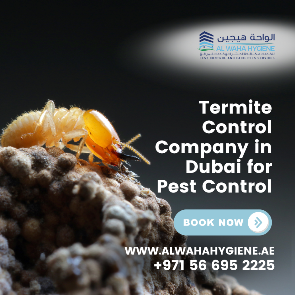 Which is the Best Termite Control Company in Dubai for Pest Control?