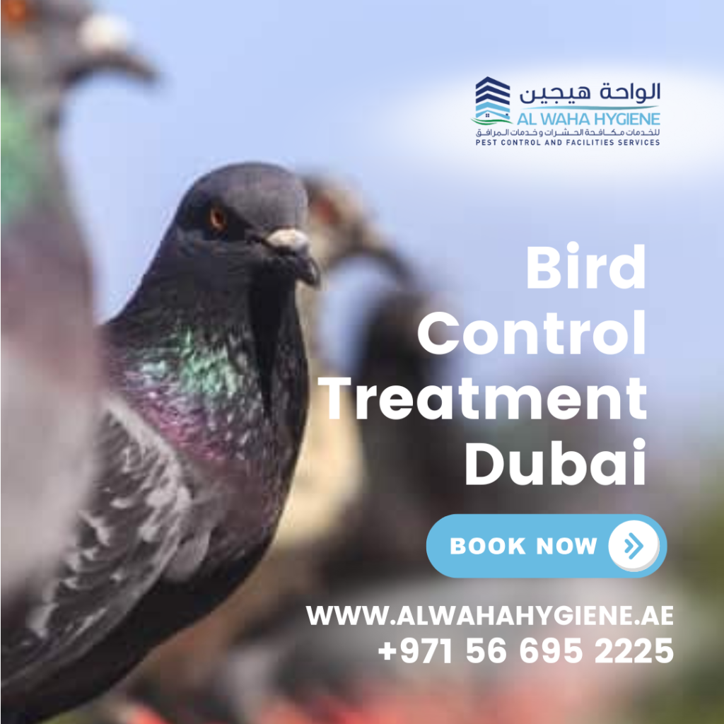 Effective Methods and Strategies for Bird Control Treatment Dubai