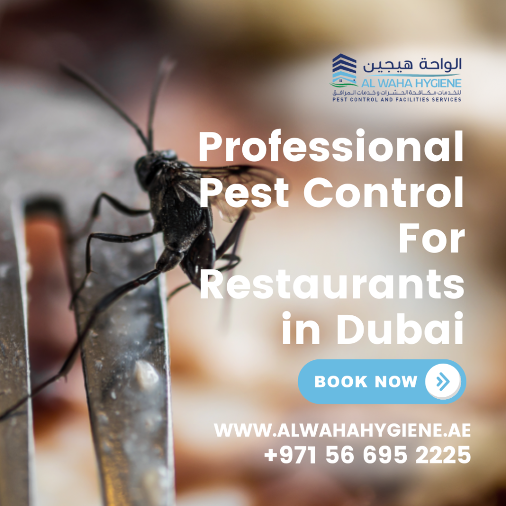 Professional Pest Control For Restaurants in Dubai