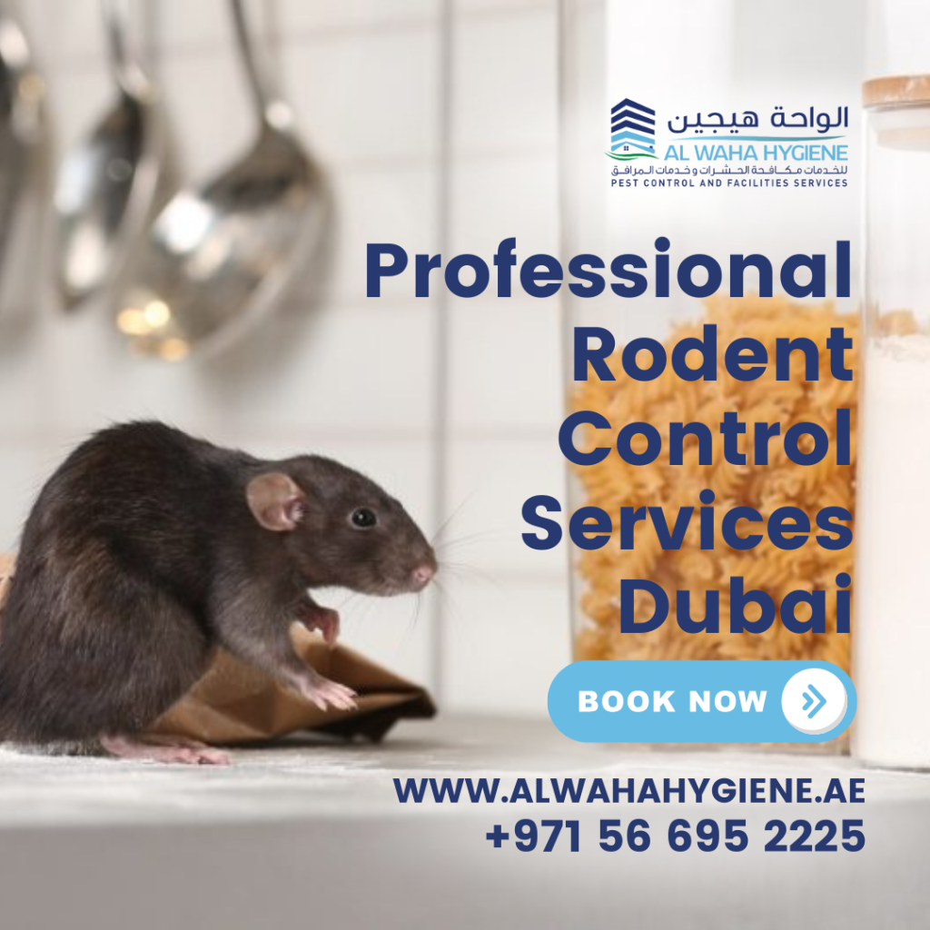 How to Rid Rodents in Dubai And Its Effective Strategies?