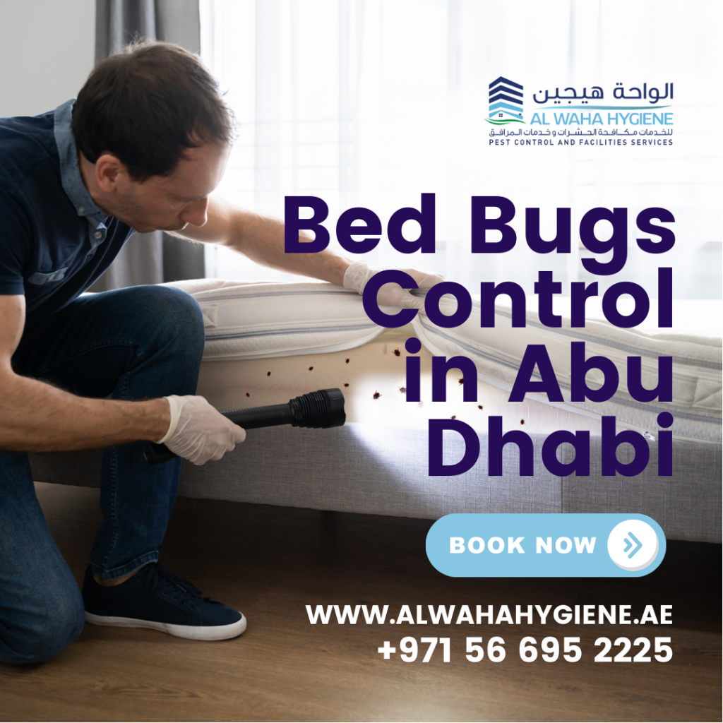 Effective Bed Bug Treatment in Abu Dhabi