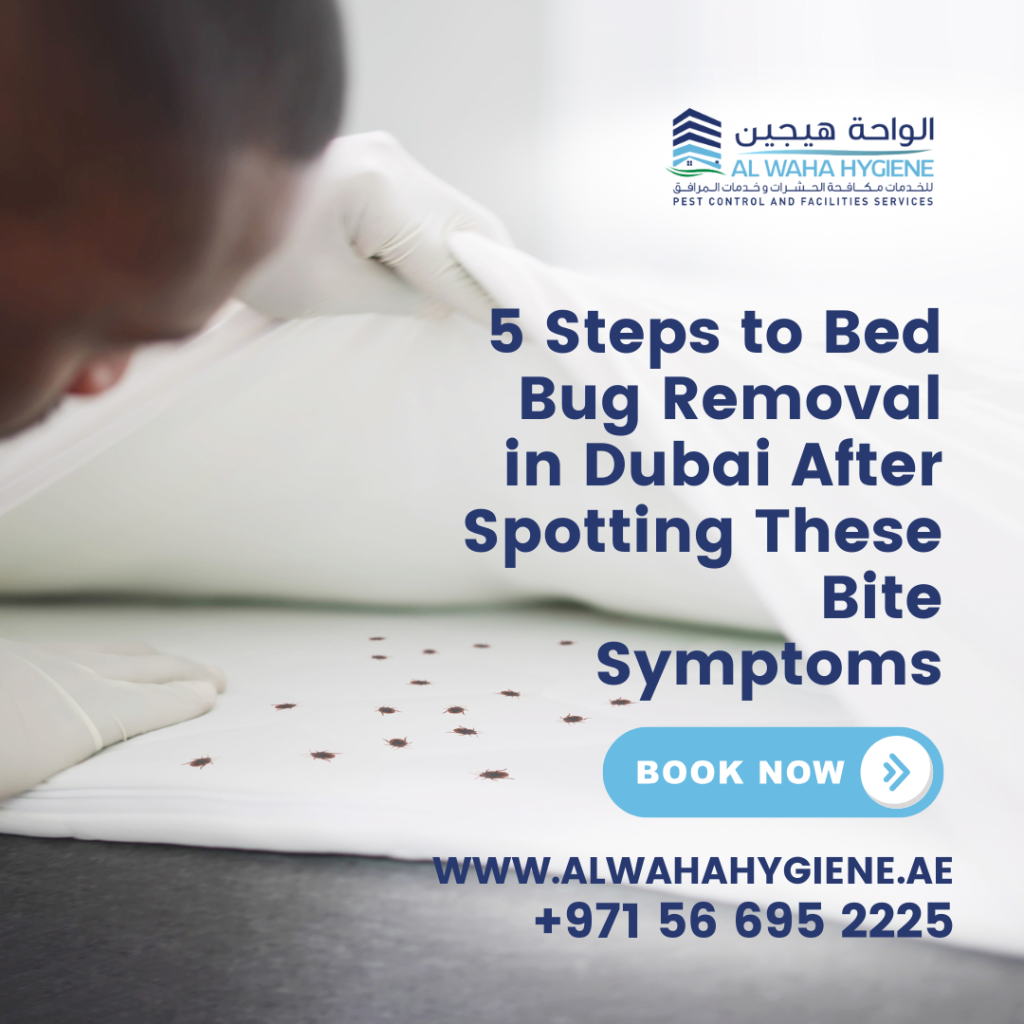 5 Steps to Bed Bug Removal in Dubai After Spotting These Bite Symptoms