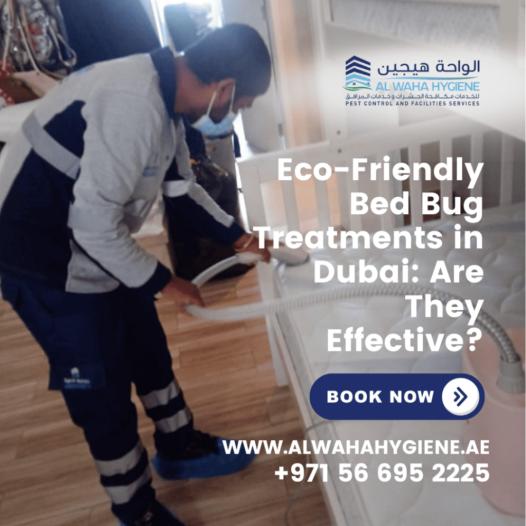 Eco-Friendly Bed Bug Treatments in Dubai: Are They Effective?