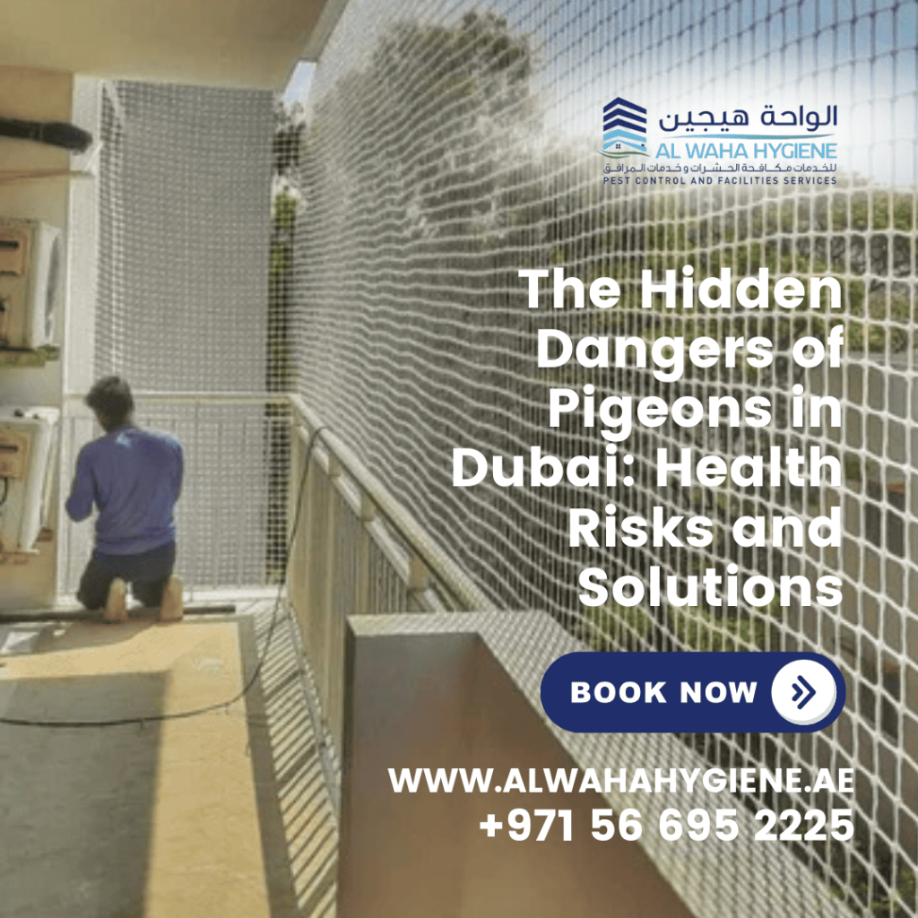 The Hidden Dangers of Pigeons in Dubai: Health Risks and Solutions