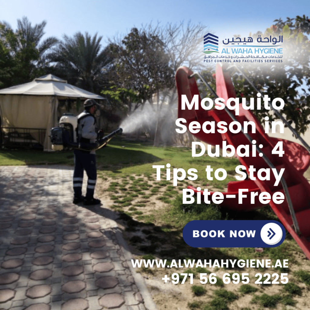 Mosquito Season in Dubai: 4 Tips to Stay Bite-Free