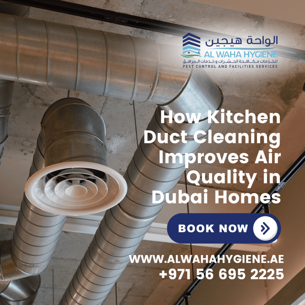 How Kitchen Duct Cleaning Improves Air Quality in Dubai Homes