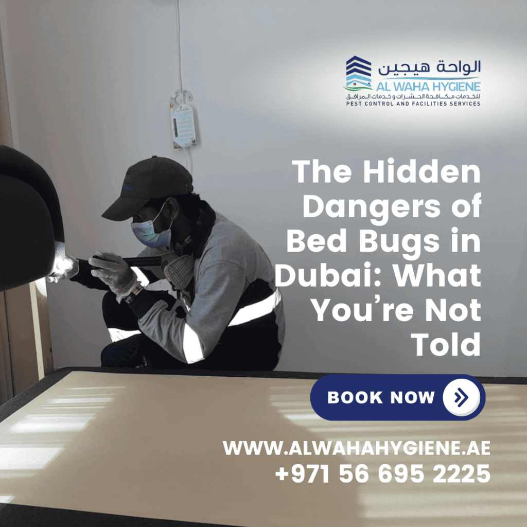 The Hidden Dangers of Bed Bugs in Dubai: What You’re Not Told