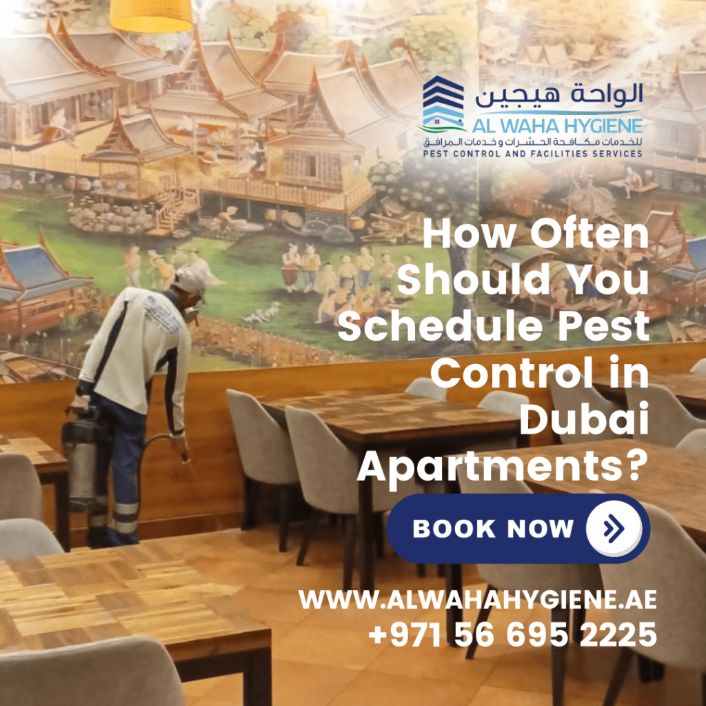 How Often Should You Schedule Pest Control in Dubai Apartments?