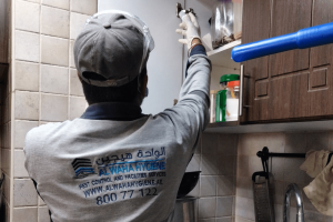 Pest Control Dubai